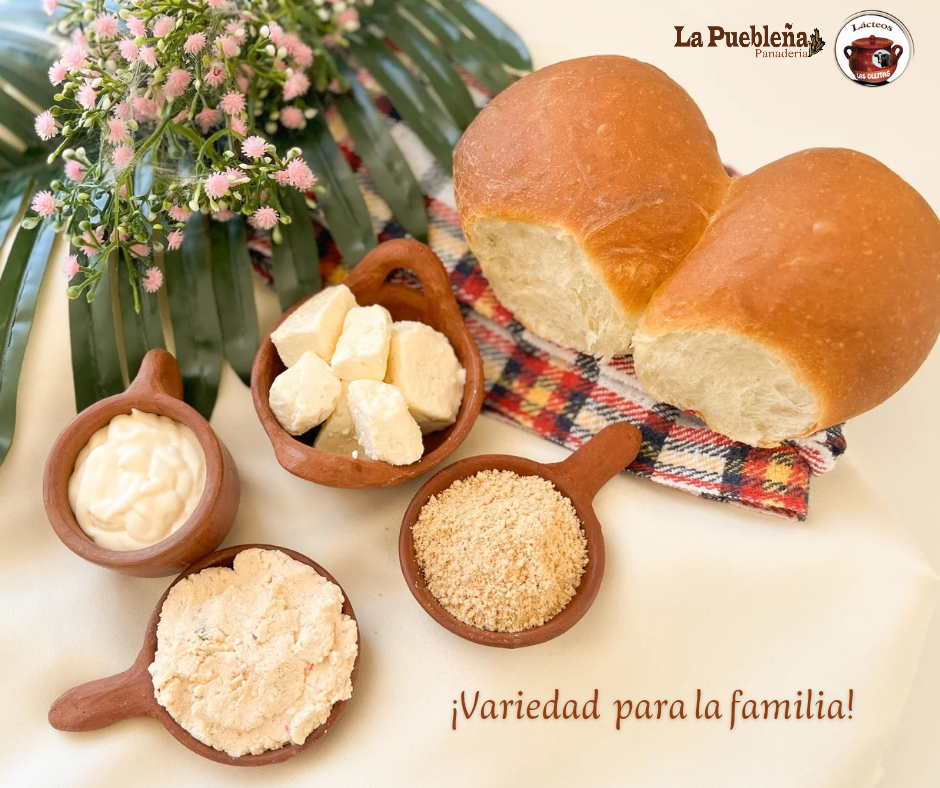 ¡BIENVENIDOS A LÁCTEOS LAS OLLITAS! LÁCTEOS DE CALIDAD, SIEMPRE FRESCOS